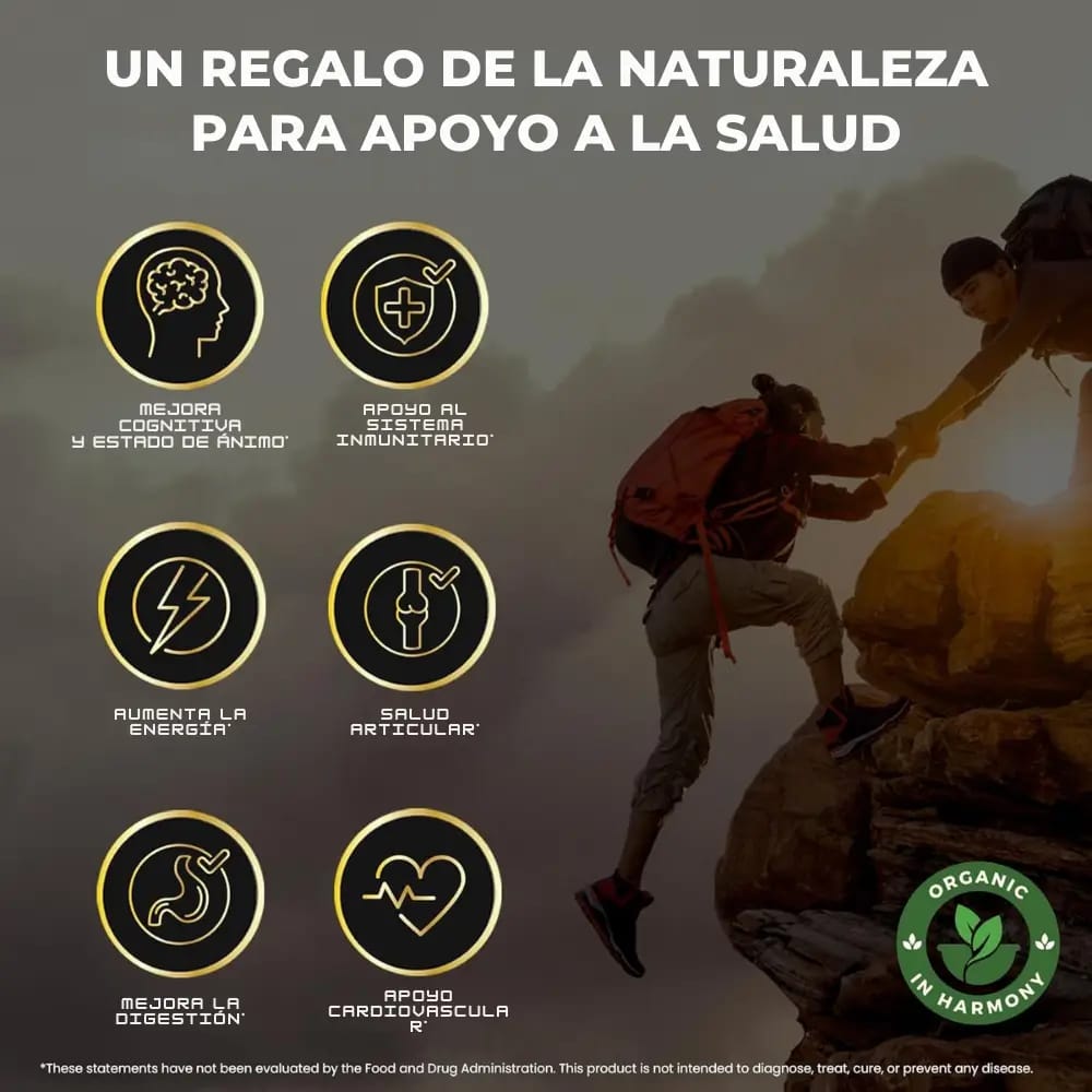 GOMITAS SHILAJIT RECUPERA TU VITALIDAD